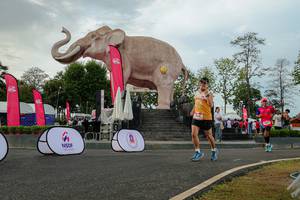 BIB: 
                            <button type="button" onclick="openModal(26528585)" class="btn btn-primary btn-sm float-right btn-popup" data-toggle="modal" data-target=".modal-high-quality">
                        <i class="fas fa-shopping-cart"></i> Add to Cart
                    </button>
                                            <button type="button" onclick="isThisMe(26528585, true)" class="btn btn-success btn-sm float-right btn-popup btn-isme hidden" data-toggle="tooltip" data-placement="bottom" title="นี่คือรูปของคุณใช่ไหม คลิกที่นี่เพื่อเอาเข้าอัลบั้ม">
                        <i class="fas fa-plus"></i> Add to album
                    </button>
                    <button type="button" onclick="isThisMe(26528585, false)" class="btn btn-warning btn-sm float-right btn-popup btn-isnotme hidden">
                        <i class="fas fa-ban"></i> Remove from album
                    </button>